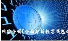 数字钱包app下载官网安全吗?全面分析数字钱包