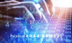 Polydoge币的未来:能涨到多少?