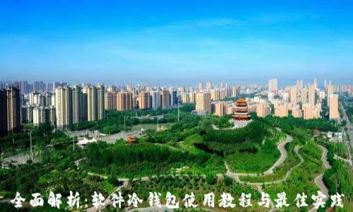 全面解析:软件冷钱包使用教程与最佳实践