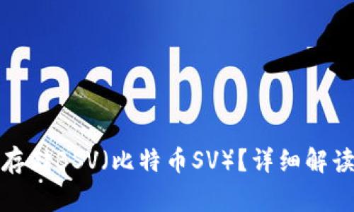 TP钱包是否支持存储BSV(比特币SV)?详细解读及常见问题解答
