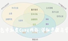 如何在TP钱包中加载Core网络：详细步骤与常见问