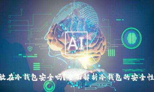 500万放在冷钱包安全吗？全面解析冷钱包的安全性与风险