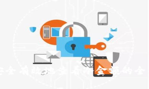 如何安全有效地查看冷金额的全面指南